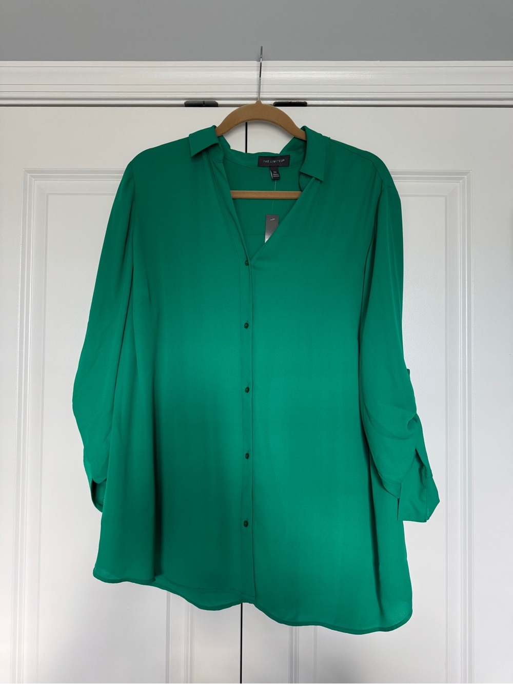The Limited Women’s Silk Button Up Blouse Green Size 0X NWT